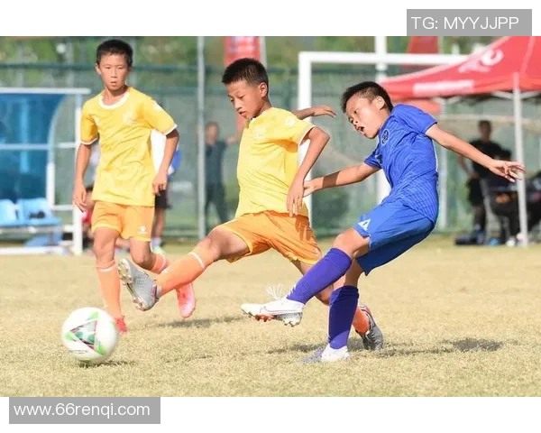 阜阳足球圈的崛起与发展探索：从青训到职业联赛的全景分析